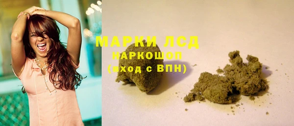 PSILOCYBIN Алзамай
