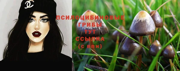 дживик Алексеевка