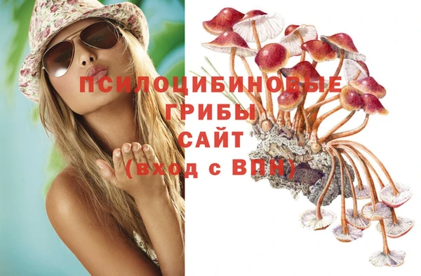 гашиш Саяногорск
